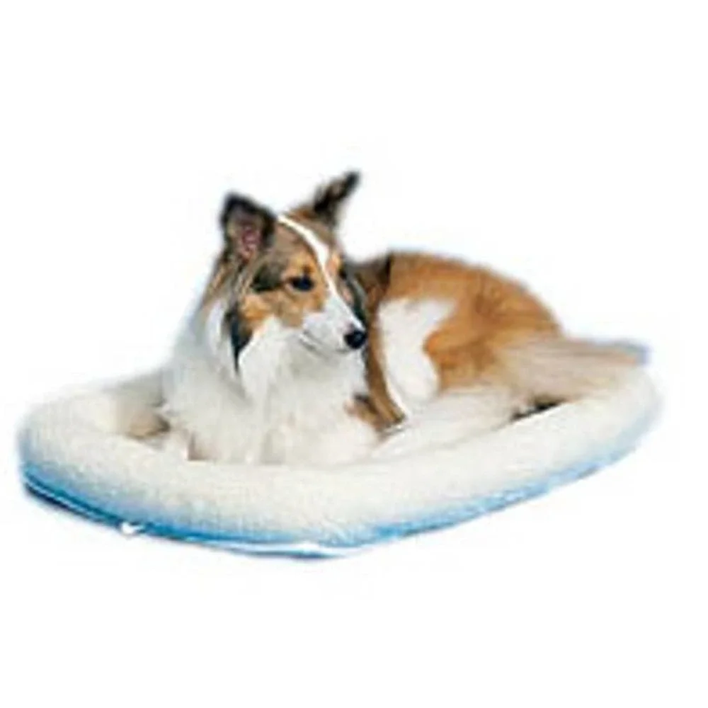 Quiet Time Bed